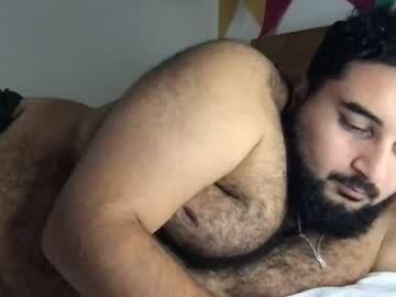 _alan_bear_