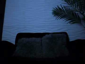 pavo_tv