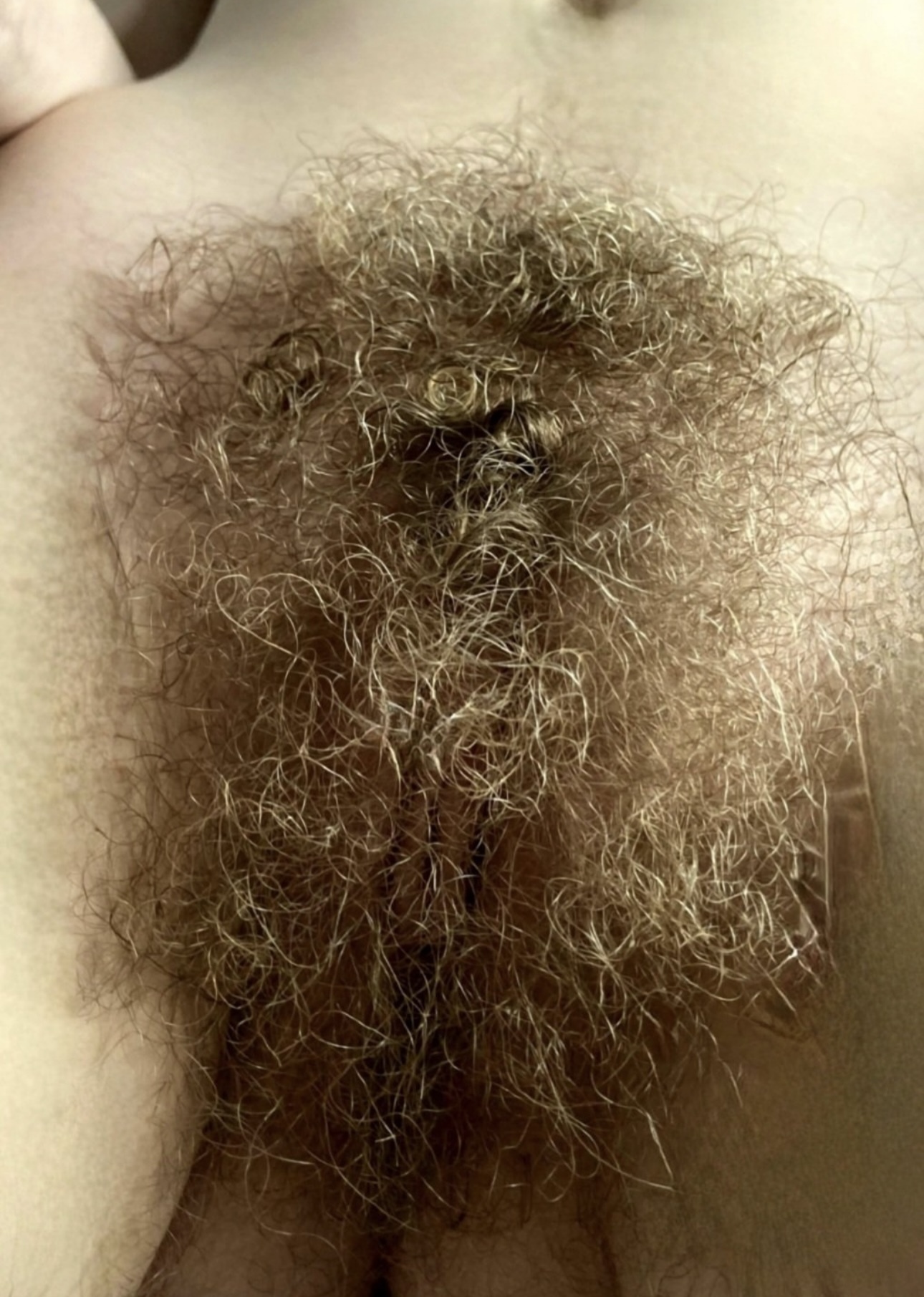 My Favorite Hairy Pussies #15 — 25