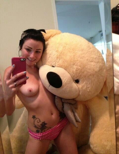 P Bear mh — 51