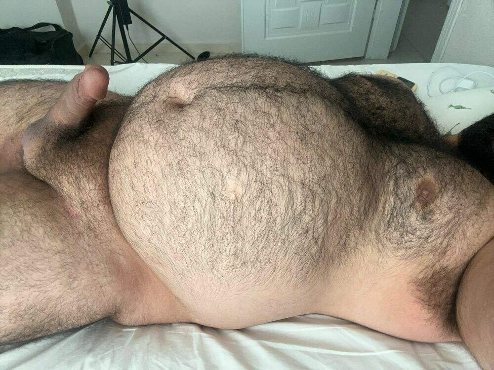 bears cubs chubs fat boyz trucker trade — 36