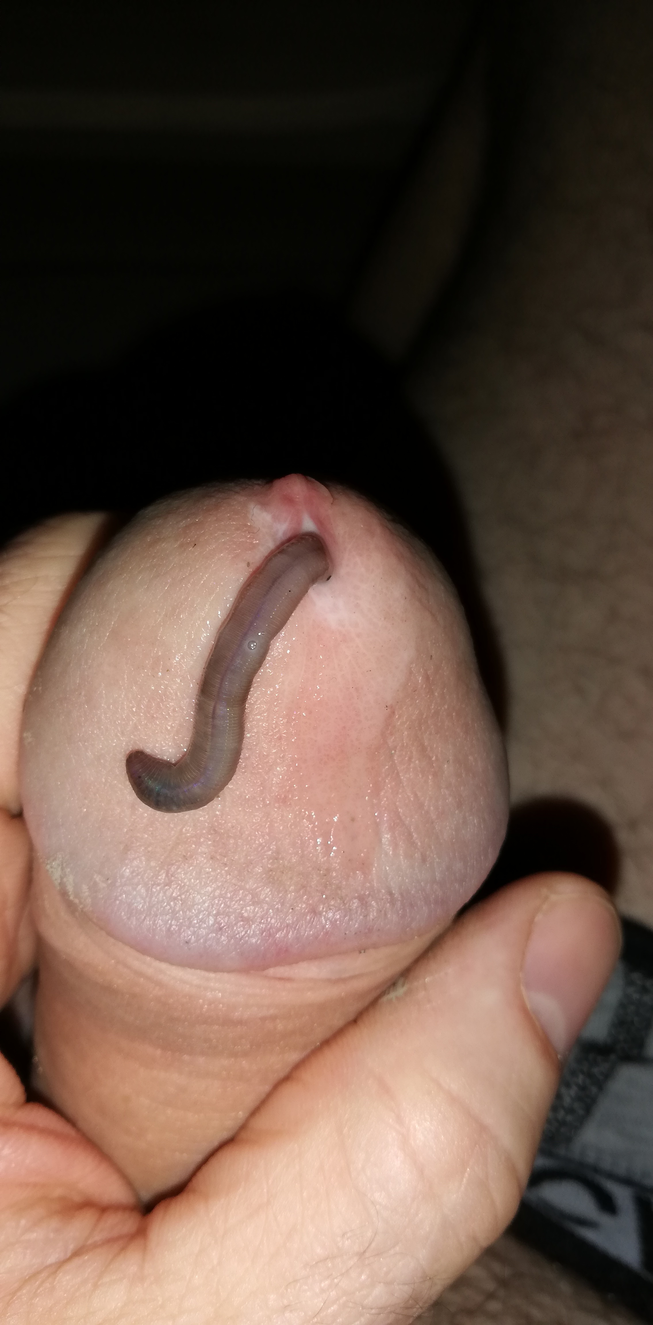 Game with worm — 24