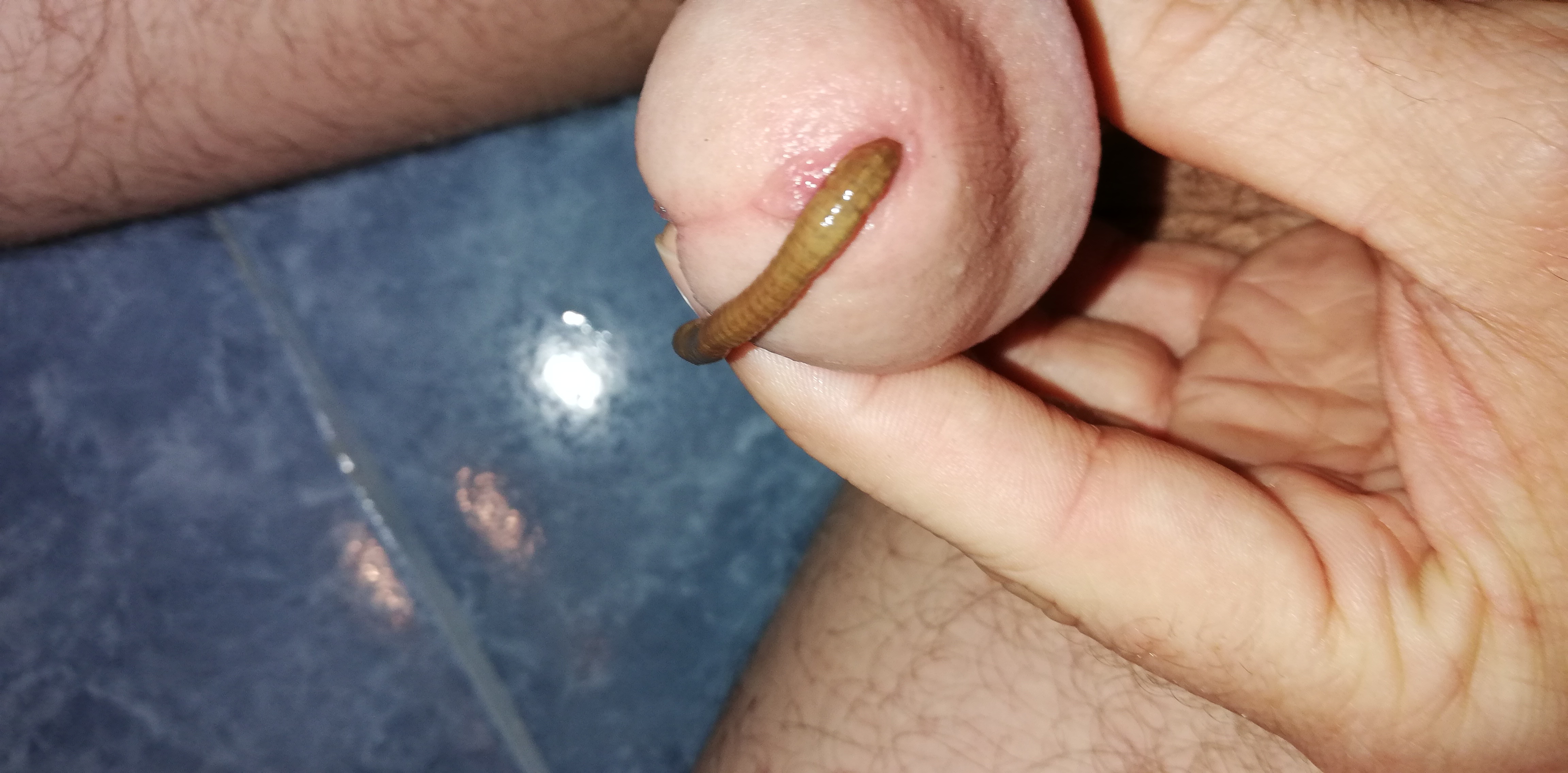 Game with worm — 6